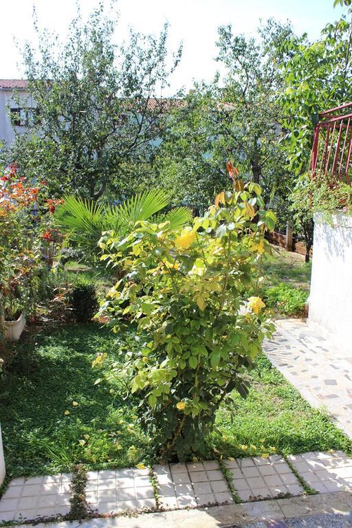 Pet Friendly Apartment In Porec With Wifi Ruang foto